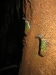 img_1506 img_1506