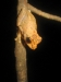 img_1530 img_1530